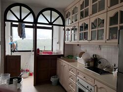 Bukit Timah Plaza / Sherwood Towers (D21), Apartment #458373241